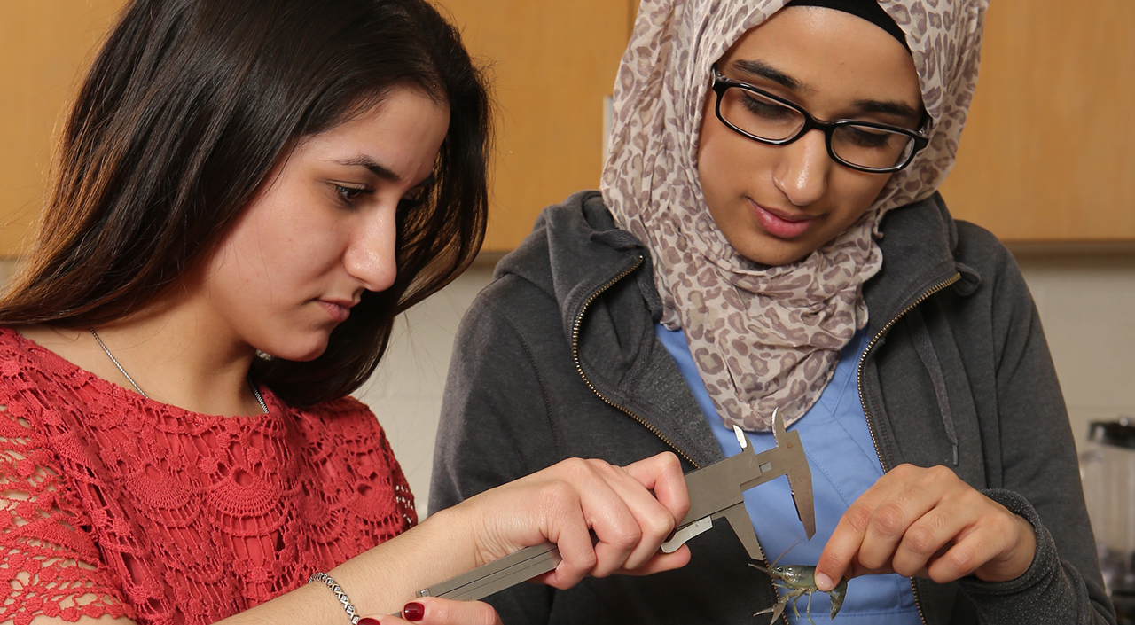 Biology Research Lab