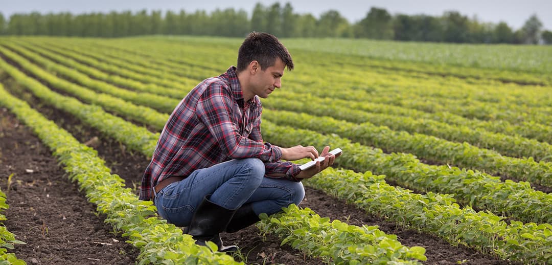 Biologist in a farm field