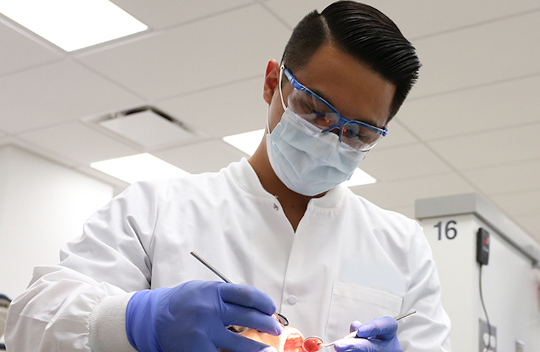 Monash dentistry entry requirement