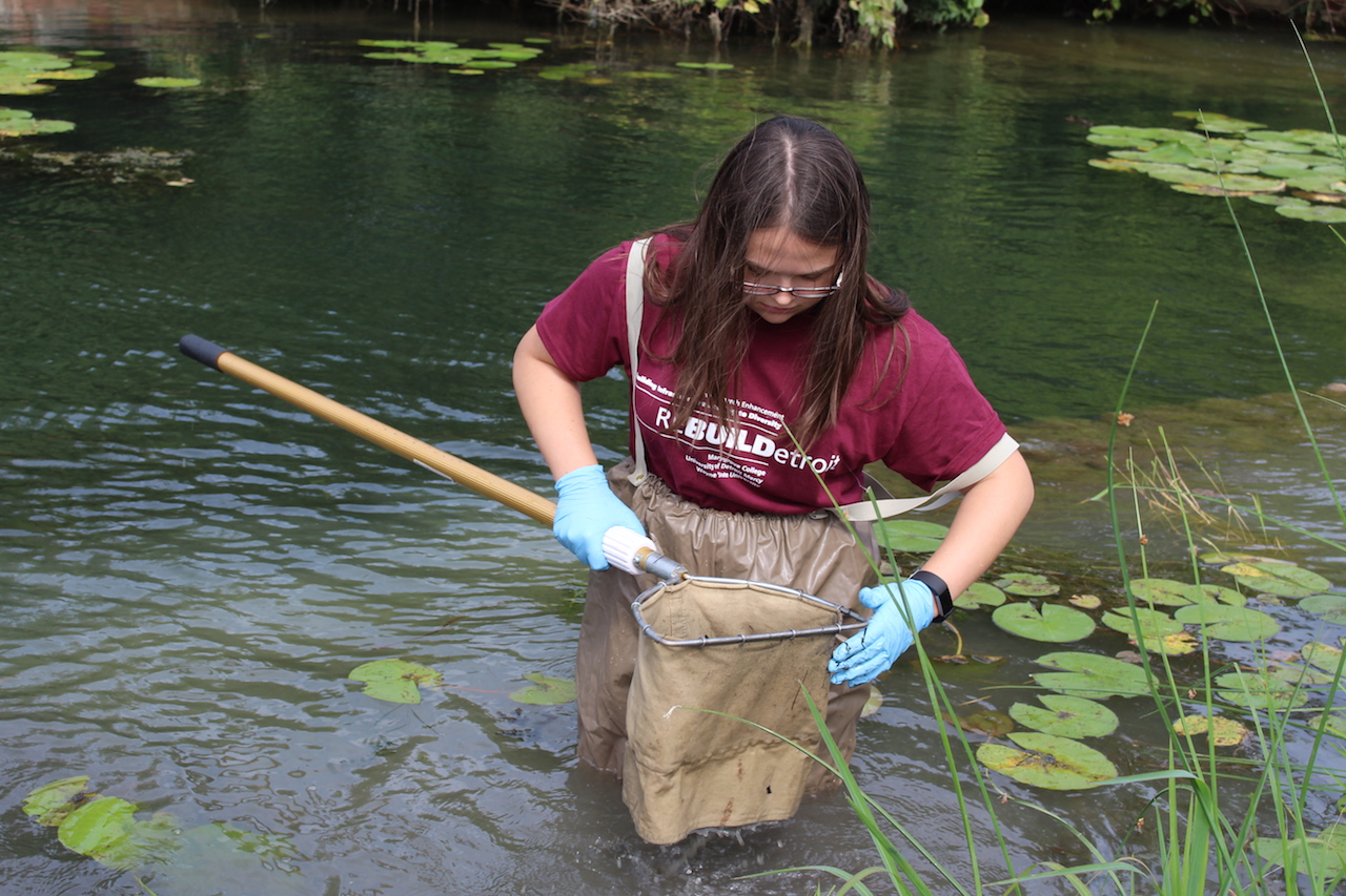 Belle Isle Research Experiment